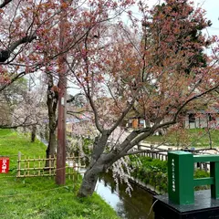 弘前公園レクリエーション広場