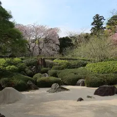 明月院 枯山水庭園