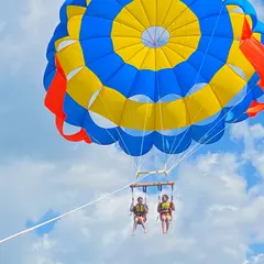 Bali coral dive & water sport
