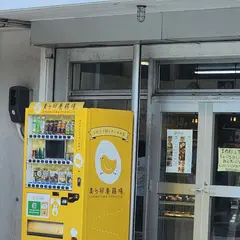 美ら卵養鶏場 南風原喜屋武店