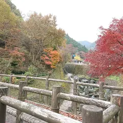 鳥羽川河川公園