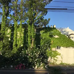 中本誠司現代美術館