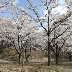 姫神公園