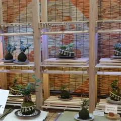 苔玉作り体験