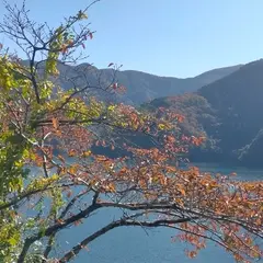留浦の浮橋
