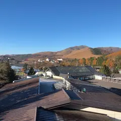 白樺リゾート池の平ホテル 東館
