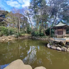 滝不動の池