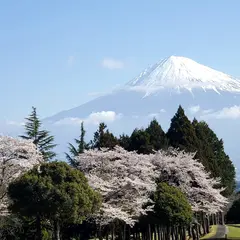 リバー富士カントリークラブ