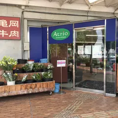 ガリレアかめおか Atrio