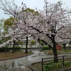 新宿公園