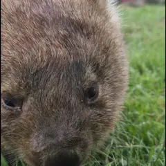 タラルガ・ワイルドライフ・パーク