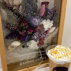 gaaboo coffee