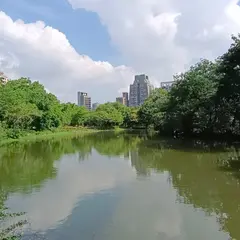 大安森林公園生態池