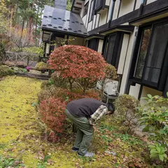 ペンション花ことば
