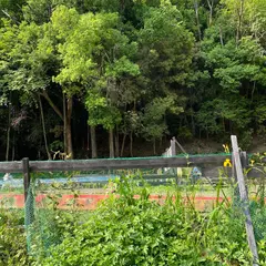 遊び村ぼうけん広場ささやま