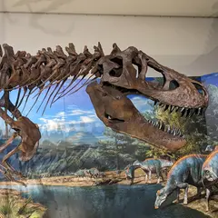岡山シティミュージアム