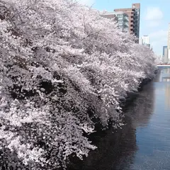 目黒新橋