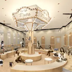 猫カフェMOCHA（モカ）イオンモール水戸内原店