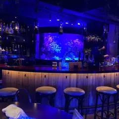 bar shark