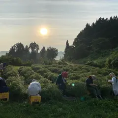 まつのやま茶倉