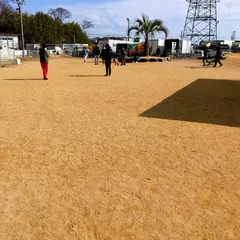 ぷらすわん