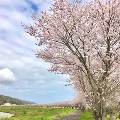 福井ホースパーク