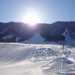 九頭竜スキー場