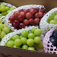 かんばやしブドウ園