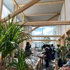 CINEMA COFFEE FIELD