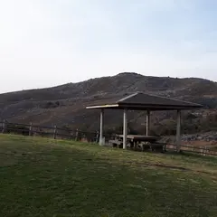 茶ケ床園地
