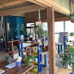 カフェグリーン