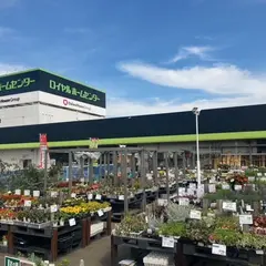 ロイヤルホームセンター 千葉店
