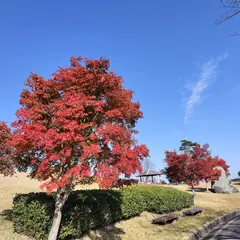 フィールドアスレチック