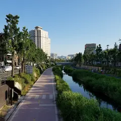 Brown Hotel Seoul