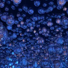 森ビルデジタルアートミュージアム：エプソン チームラボボーダレス（teamLab Borderless: MORI Building DIGITAL ART MUSEUM）