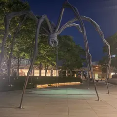 ヒルズ ボックス