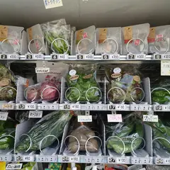 みはらし水耕農園〜野菜自販機〜