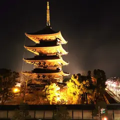 PREMIUM TOJI