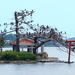猫島