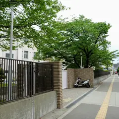 大阪市立市岡中学校