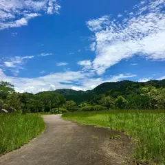 雁回公園