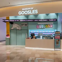 Museum of GOOSLES