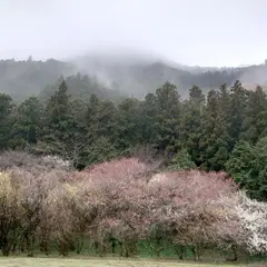 四季の森星野