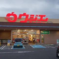 ウジエスーパー古川バイパス店