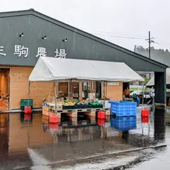 ㈱生駒農場