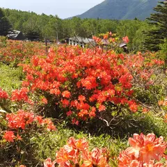 五味池破風高原自然園