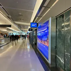 British Airways Lounge