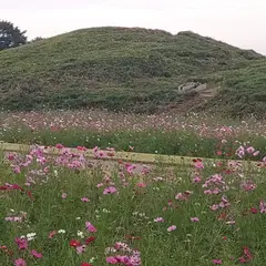 はにわの里公園 駐車場