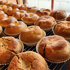 TRIP TIP BAGEL