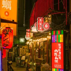 【呑み喰いの赤提灯横丁】新宿歌舞伎町レッドのれん街